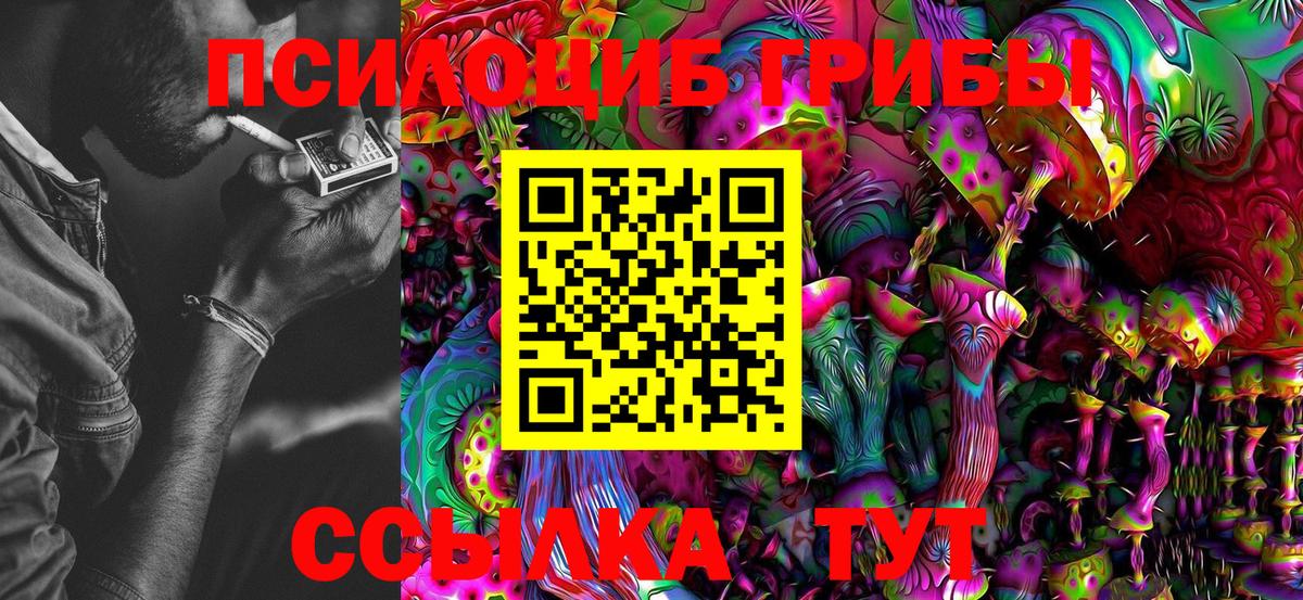 Псилоцибиновые грибы Cubensis Алапаевск