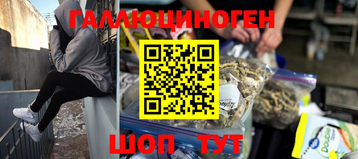 Алапаевск  Псилоцибиновые грибы Psilocybe  Вход с VPN 